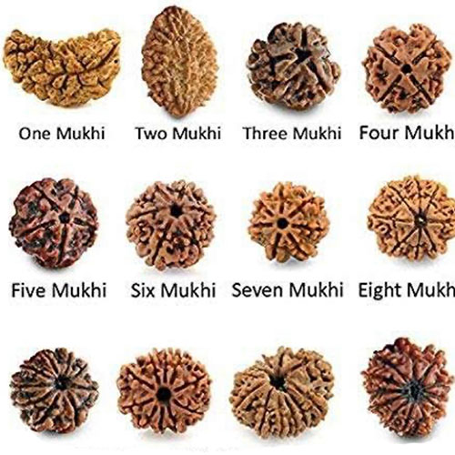 Buy rudraksh online